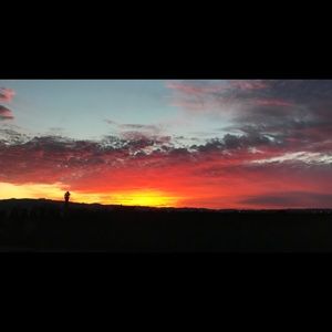 Meet your Posher, Billy